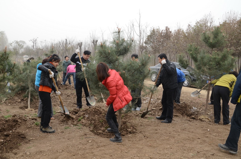 2013.03.12集团公司第九届义务植树活动